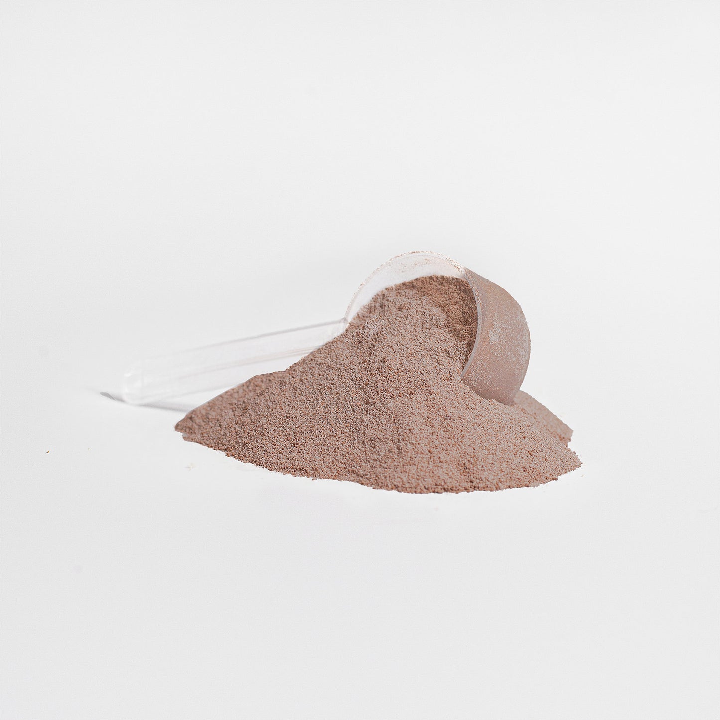 WHEY PROTEIN (DUTCH CHOCOLATE)